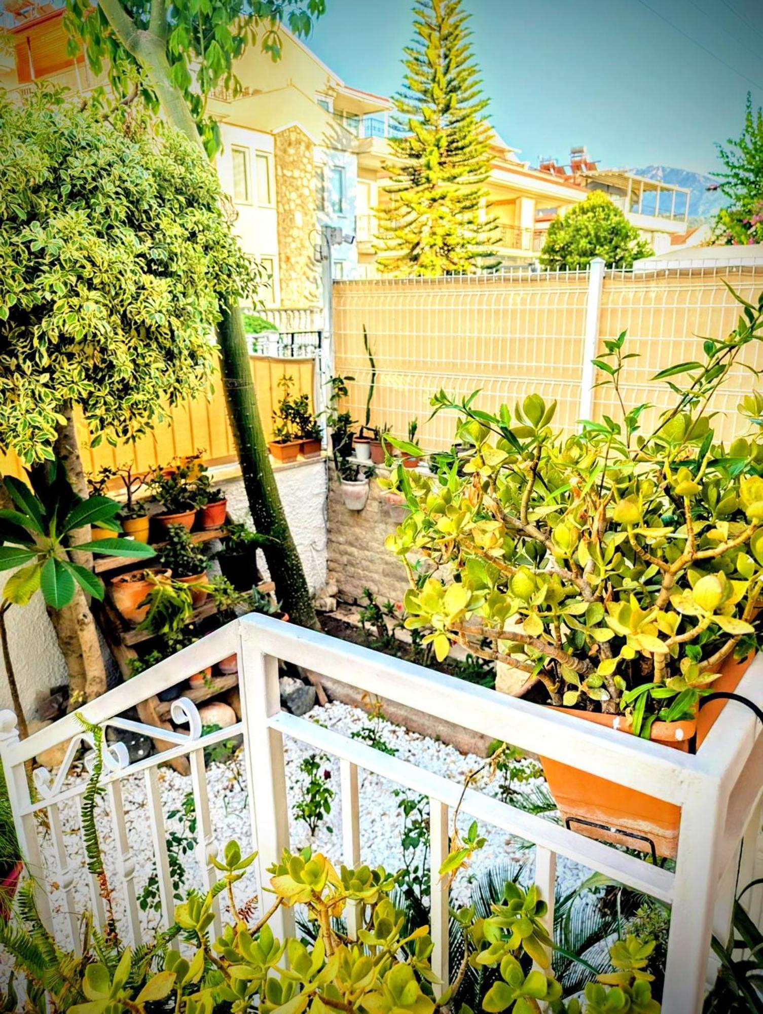 Villa Atlas フェティエ エクステリア 写真